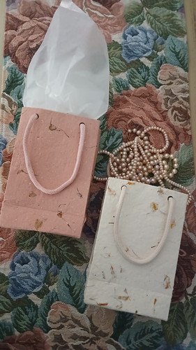 5 Gift Bags 4 x 6 x 1.5 inch